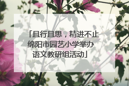 且行且思，精进不止 绵阳市园艺小学举办语文教研组活动