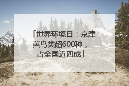 世界环境日：京津冀鸟类超600种，占全国近四成