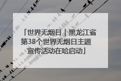 世界无烟日｜黑龙江省第38个世界无烟日主题宣传活动在哈启动
