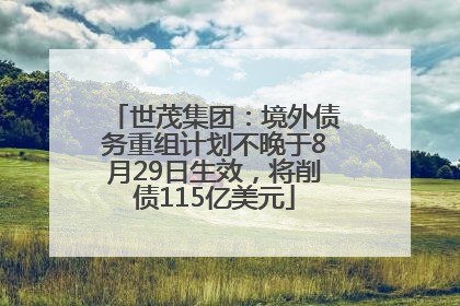 世茂集团：境外债务重组计划不晚于8月29日生效，将削债115亿美元