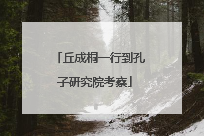 丘成桐一行到孔子研究院考察