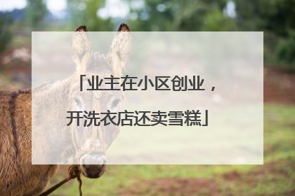 业主在小区创业，开洗衣店还卖雪糕