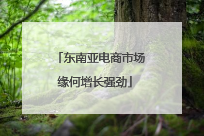 东南亚电商市场缘何增长强劲