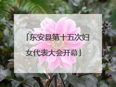 东安县第十五次妇女代表大会开幕