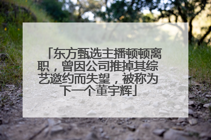 东方甄选主播顿顿离职，曾因公司推掉其综艺邀约而失望，被称为下一个董宇辉