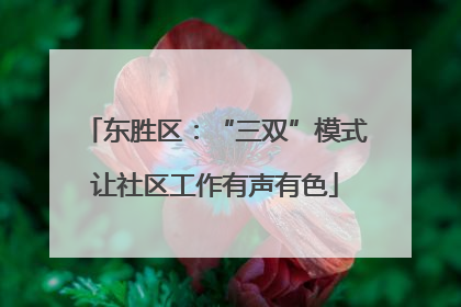 东胜区：“三双”模式让社区工作有声有色