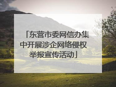 东营市委网信办集中开展涉企网络侵权举报宣传活动