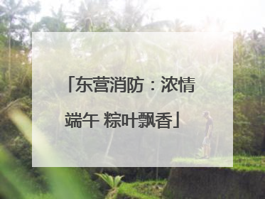 东营消防：浓情端午 粽叶飘香