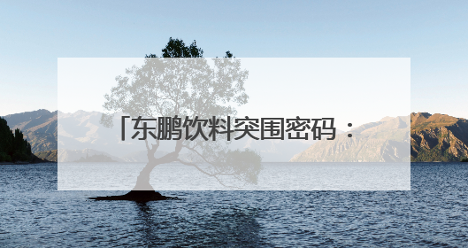 东鹏饮料突围密码：三次关键抉择背后的战略远见与社会责任