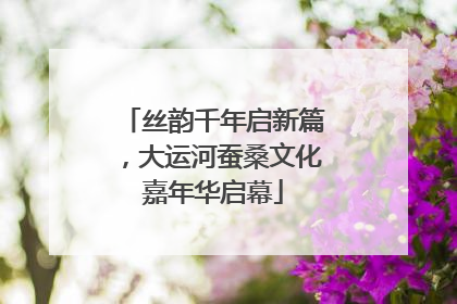 丝韵千年启新篇，大运河蚕桑文化嘉年华启幕