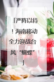严阵以待！海南移动全力迎战台风“蝴蝶”