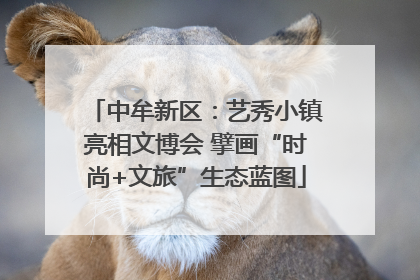 中牟新区：艺秀小镇亮相文博会 擘画“时尚+文旅”生态蓝图