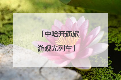 中哈开通旅游观光列车
