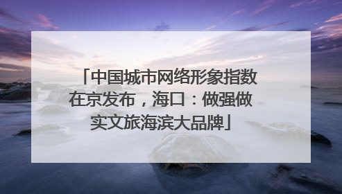 中国城市网络形象指数在京发布，海口：做强做实文旅海滨大品牌