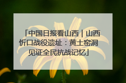中国日报看山西｜山西忻口战役遗址：黄土窑洞见证全民抗战记忆