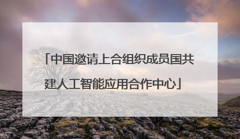 中国邀请上合组织成员国共建人工智能应用合作中心