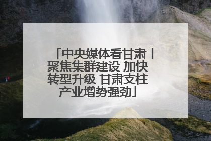 中央媒体看甘肃丨聚焦集群建设 加快转型升级 甘肃支柱产业增势强劲