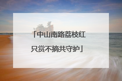 中山南路荔枝红 只赏不摘共守护
