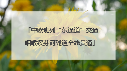 中欧班列“东通道”交通咽喉绥芬河隧道全线贯通