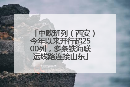 中欧班列（西安）今年以来开行超2500列，多条铁海联运线路连接山东