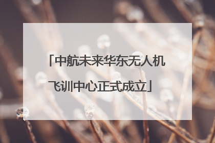 中航未来华东无人机飞训中心正式成立
