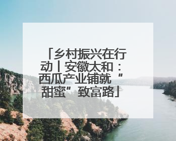 乡村振兴在行动丨安徽太和：西瓜产业铺就“甜蜜”致富路