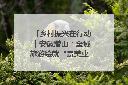 乡村振兴在行动｜安徽潜山：全域旅游绘就“景美业兴民富”新画卷