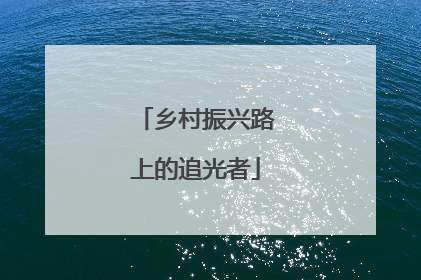 乡村振兴路上的追光者