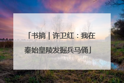 书摘｜许卫红：我在秦始皇陵发掘兵马俑