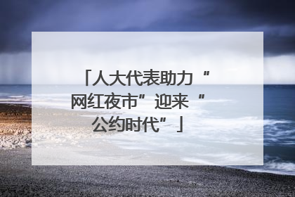 人大代表助力“网红夜市”迎来“公约时代”