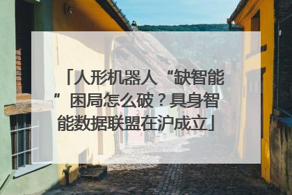 人形机器人“缺智能”困局怎么破？具身智能数据联盟在沪成立