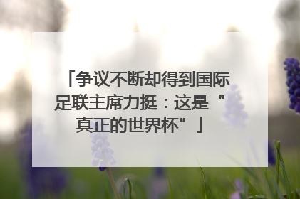 争议不断却得到国际足联主席力挺：这是“真正的世界杯”