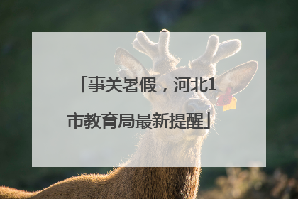 事关暑假，河北1市教育局最新提醒