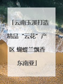 云南玉溪打造精品“云花”产区 蝴蝶兰飘香东南亚