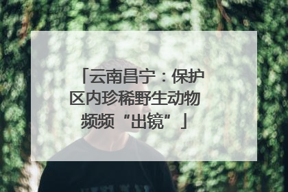 云南昌宁：保护区内珍稀野生动物频频“出镜”