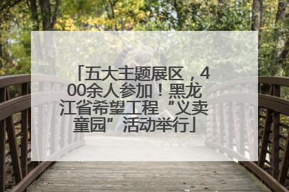 五大主题展区，400余人参加！黑龙江省希望工程“义卖童园”活动举行
