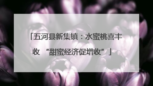 五河县新集镇：水蜜桃喜丰收 “甜蜜经济促增收”
