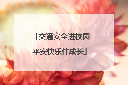 交通安全进校园 平安快乐伴成长