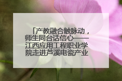 产教融合触脉动，师生同台话信心——江西应用工程职业学院走进芦溪电瓷产业园创新思政课堂