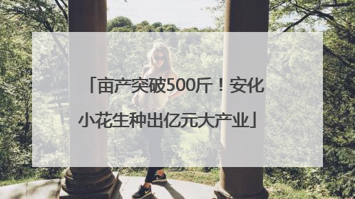 亩产突破500斤！安化小花生种出亿元大产业