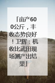 亩产600公斤，丰收态势良好！卫辉：机收比武田现场测产出结果