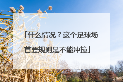 什么情况？这个足球场首要规则是不能冲撞