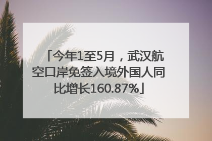 今年1至5月，武汉航空口岸免签入境外国人同比增长160.87%