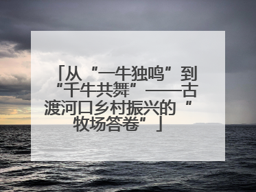 从“一牛独鸣”到“千牛共舞”——古渡河口乡村振兴的“牧场答卷”