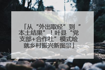 从“外出取经”到“本土结果”！叶县“党支部+合作社”模式绘就乡村振兴新图景