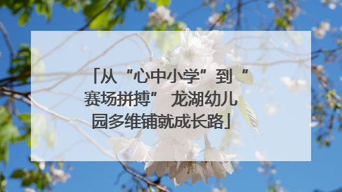 从“心中小学”到“赛场拼搏” 龙湖幼儿园多维铺就成长路