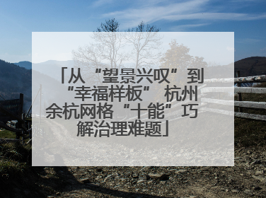 从“望景兴叹”到“幸福样板” 杭州余杭网格“十能”巧解治理难题