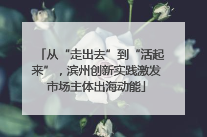 从“走出去”到“活起来”，滨州创新实践激发市场主体出海动能