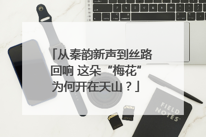 从秦韵新声到丝路回响 这朵“梅花”为何开在天山?