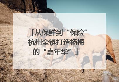从保鲜到“保险” 杭州全链打造杨梅的“嘉年华”
